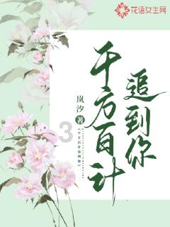 低空经济创新发展联盟在南京浦口成立