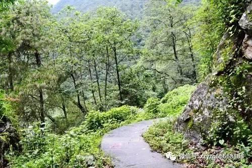 全民剧本大师内置菜单