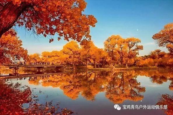 逃离幻想冰淇淋场