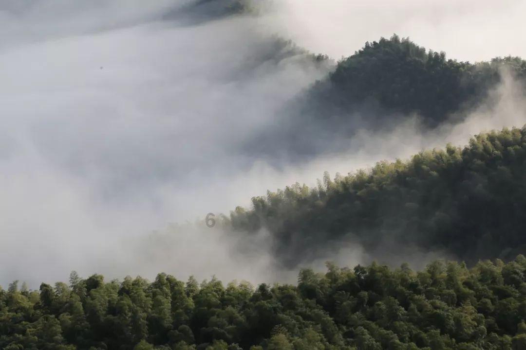 乱斗西游2