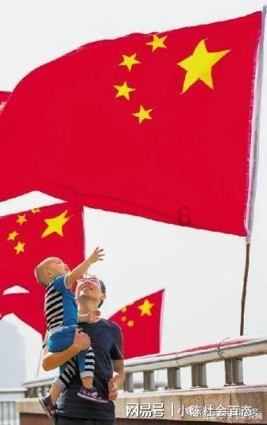“国保”蕨挖不得!三人涉嫌危害国家重点保护植物罪被判刑,看看