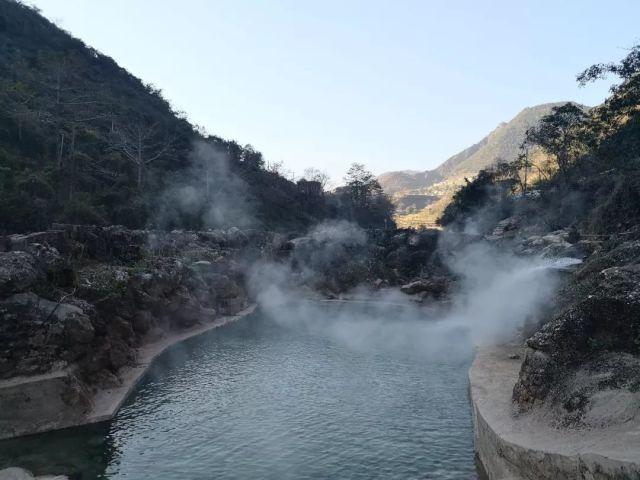 逃离马儿森林