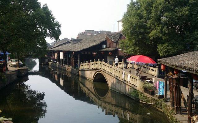 逃离泰莱森林
