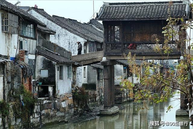细胞分裂5